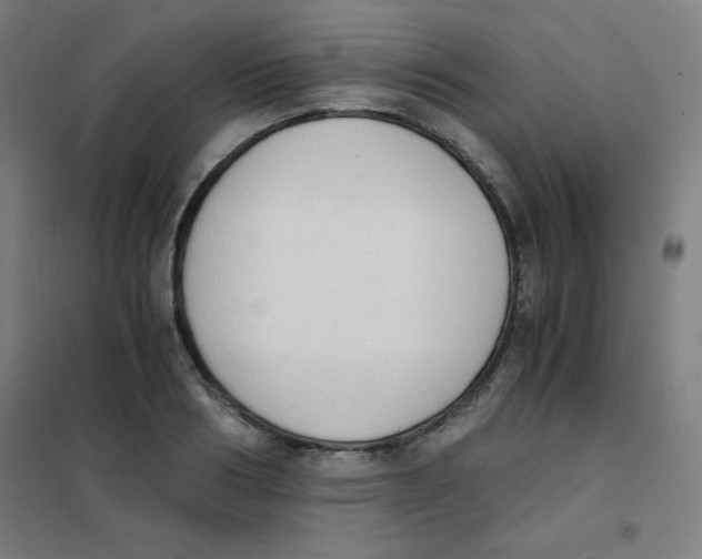 X0000101390986200808041013