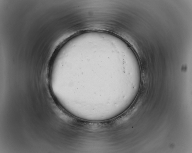 X0000101390987200808041013