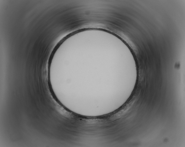 X0000101390988200808041013