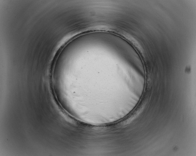 X0000101390989200808041013