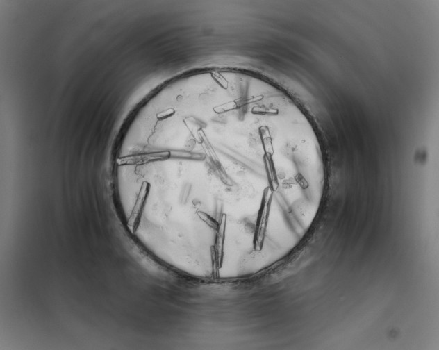 X0000101390990200808041013