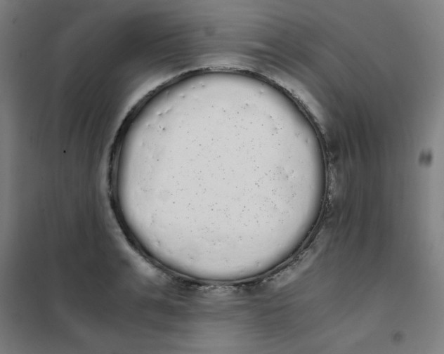 X0000101390991200808041013