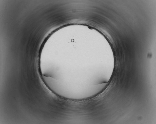 X0000101390992200808041013