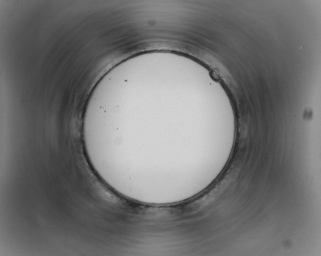 X0000101390993200808041013