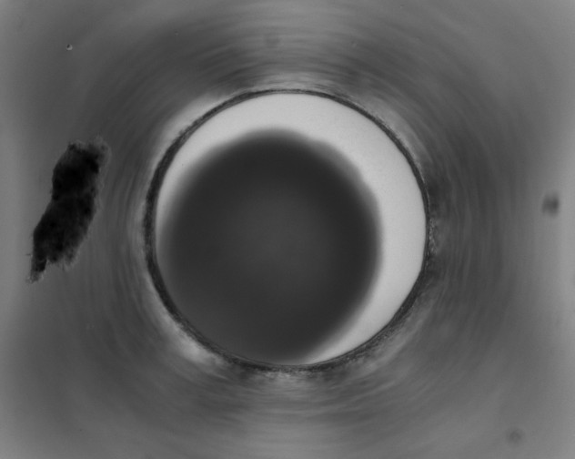 X0000101390995200808041013