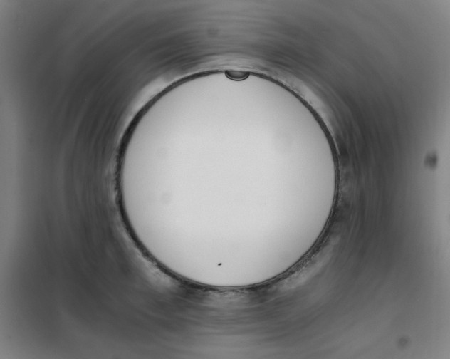 X0000101390997200808041013