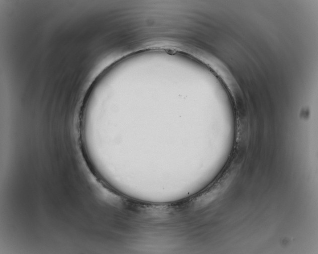 X0000101390999200808041013