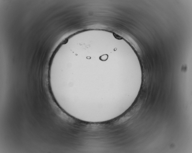 X0000101391000200808041013