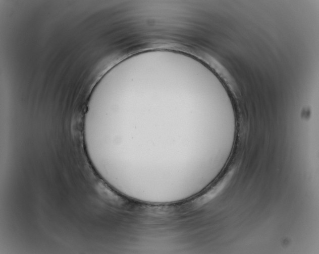 X0000101391001200808041013