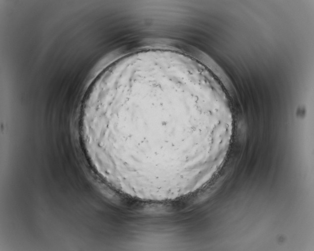 X0000101391002200808041013
