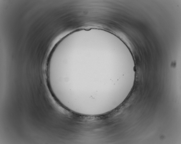 X0000101391003200808041012