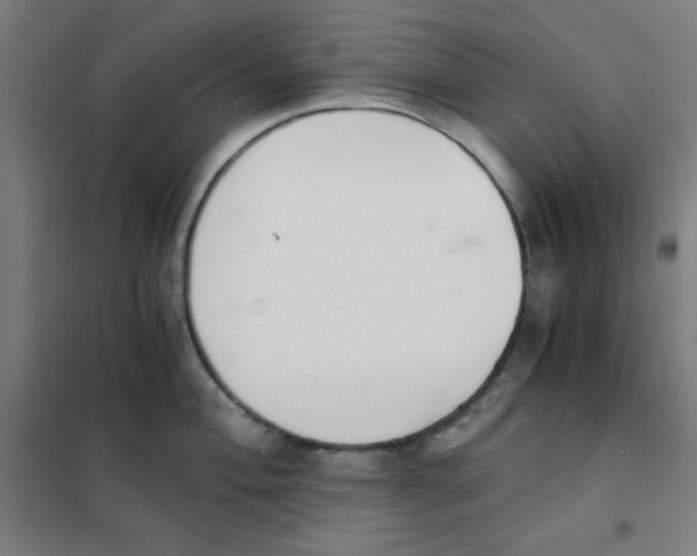 X0000101391004200808041012