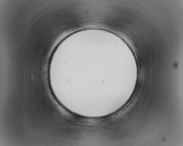 X0000101391005200808041012