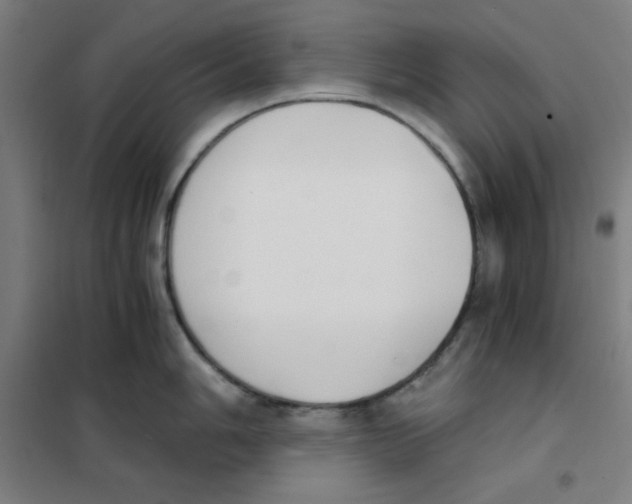 X0000101391006200808041012