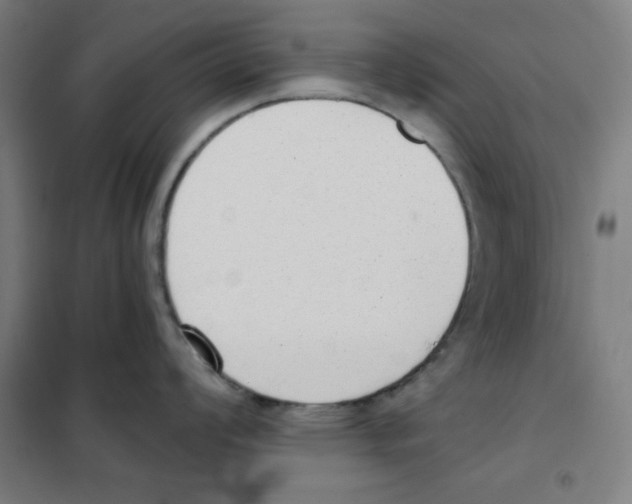 X0000101391008200808041012