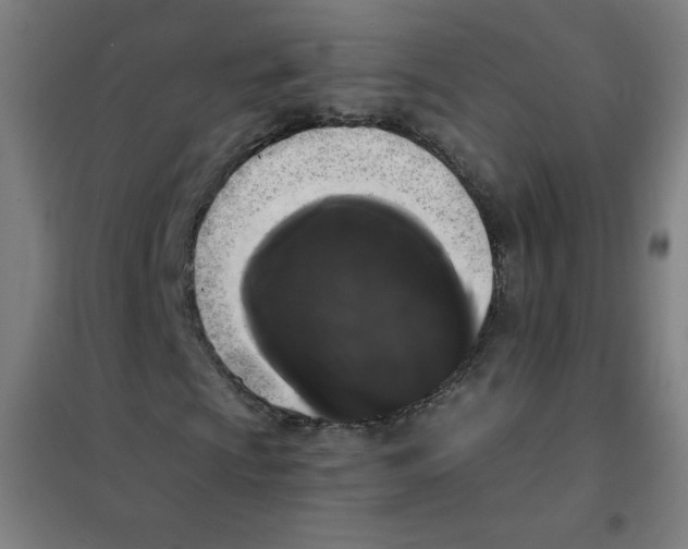 X0000101391009200808041012