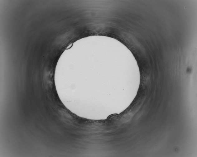 X0000101391010200808041012