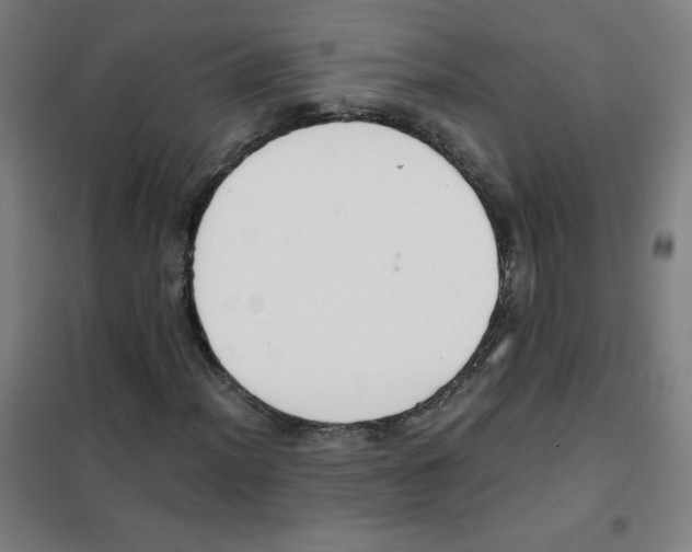 X0000101391012200808041012