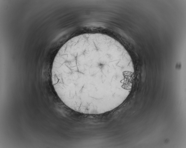 X0000101391014200808041012