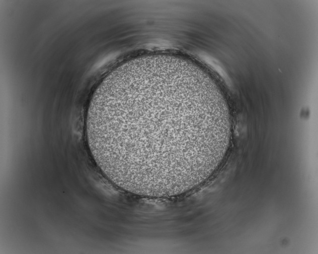 X0000101391015200808041012