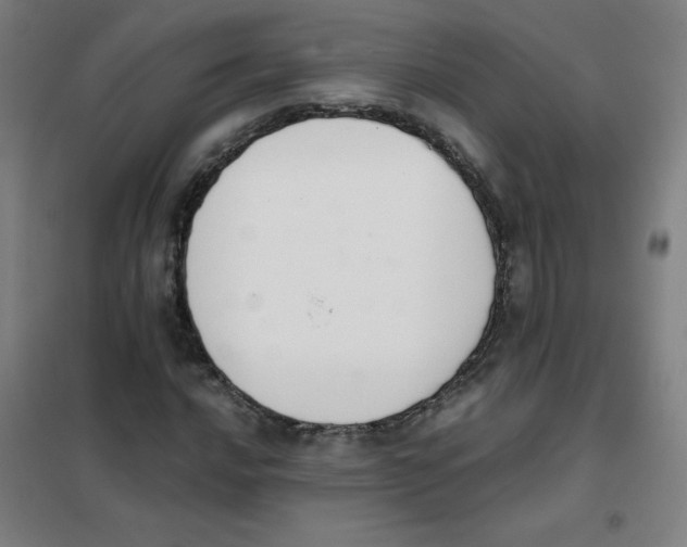 X0000101391016200808041012