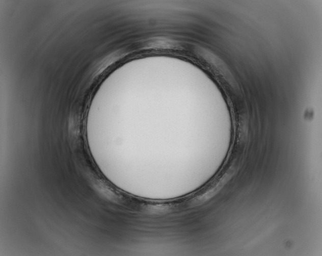 X0000101391017200808041012