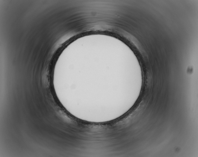 X0000101391018200808041012