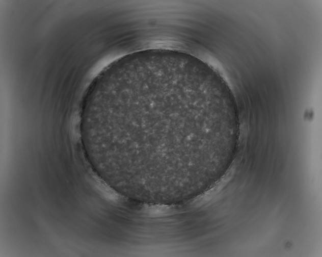 X0000101391019200808041012