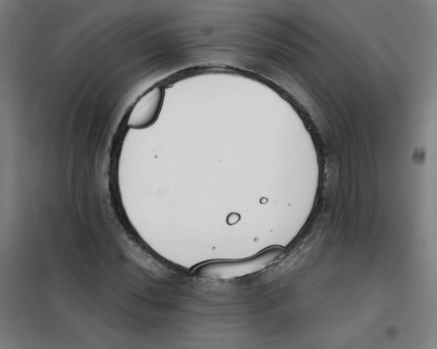 X0000101391020200808041012