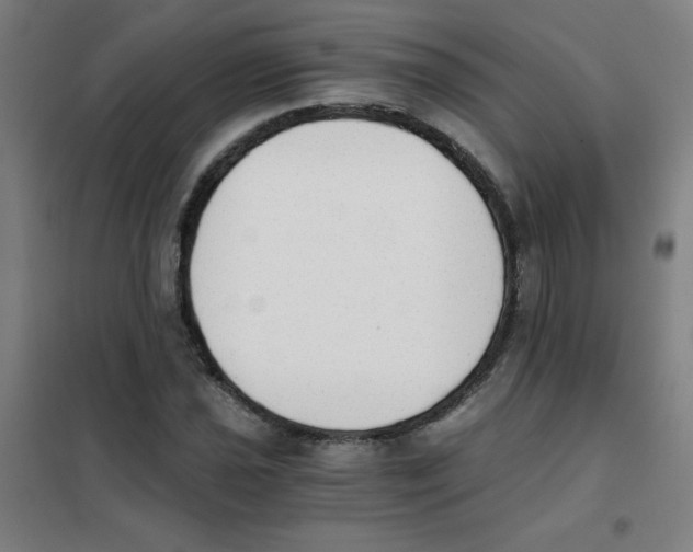 X0000101391021200808041012