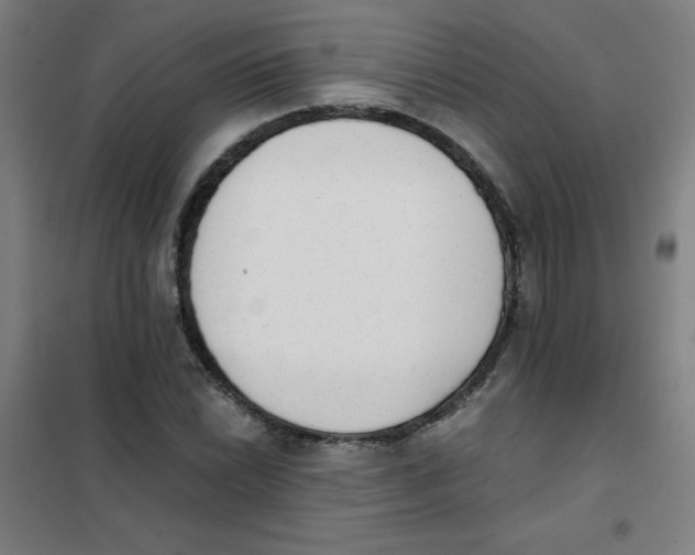 X0000101391022200808041012