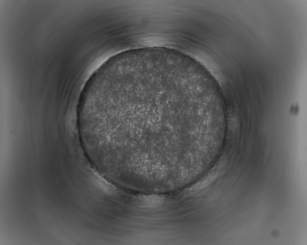 X0000101391023200808041012