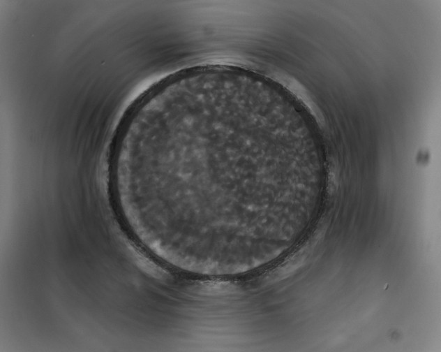 X0000101391024200808041012