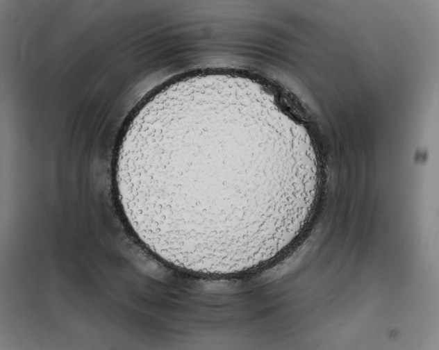 X0000101391025200808041012