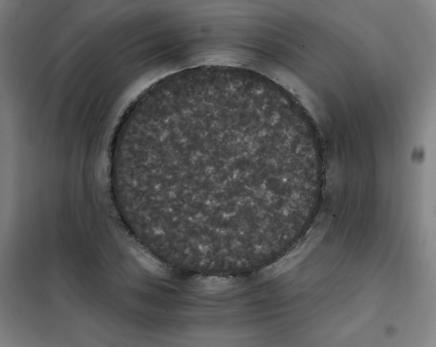 X0000101391027200808041012