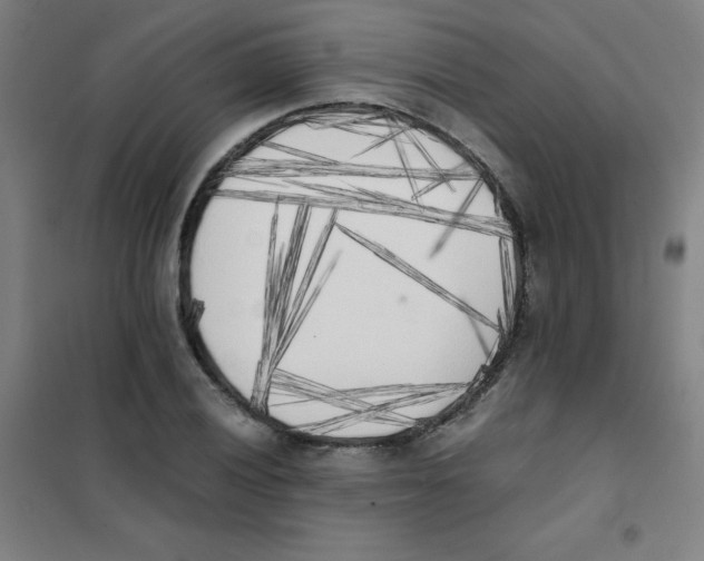 X0000101391028200808041012