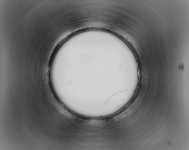 X0000101391029200808041012