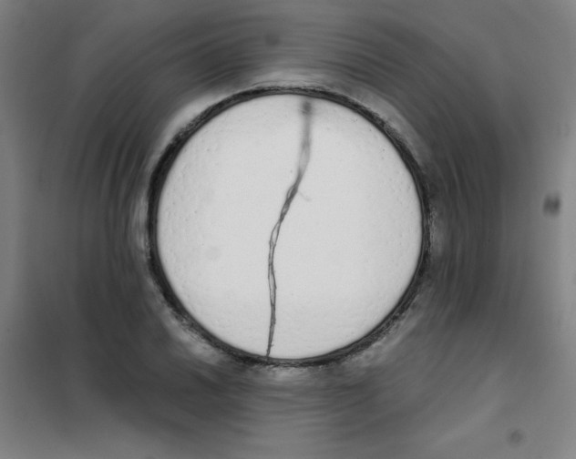 X0000101391030200808041012