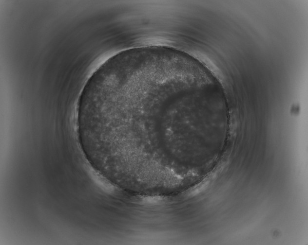 X0000101391031200808041012