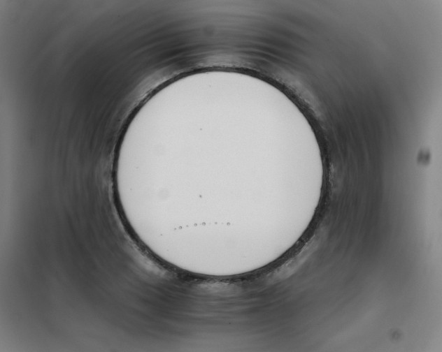X0000101391033200808041012