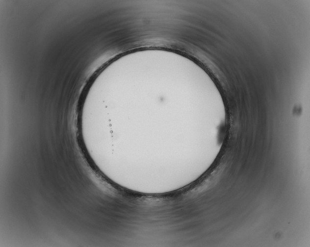 X0000101391034200808041012
