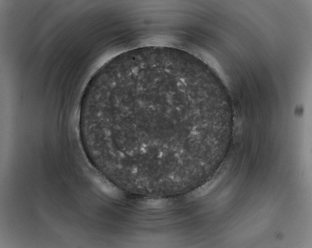 X0000101391035200808041012