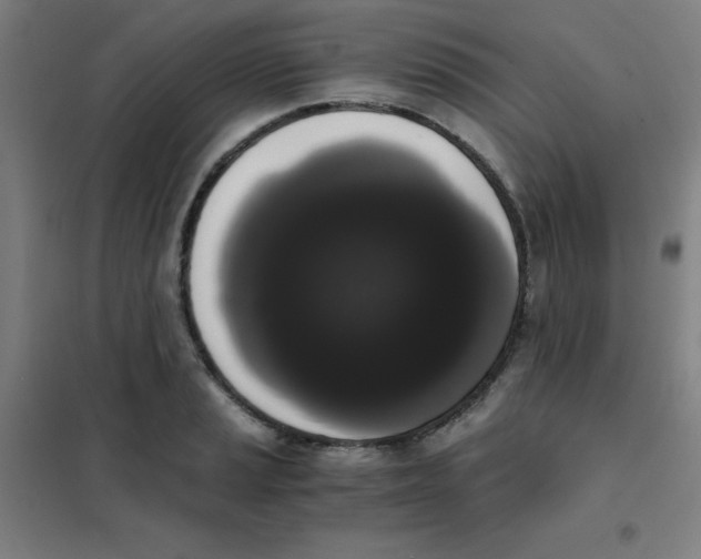 X0000101391037200808041012