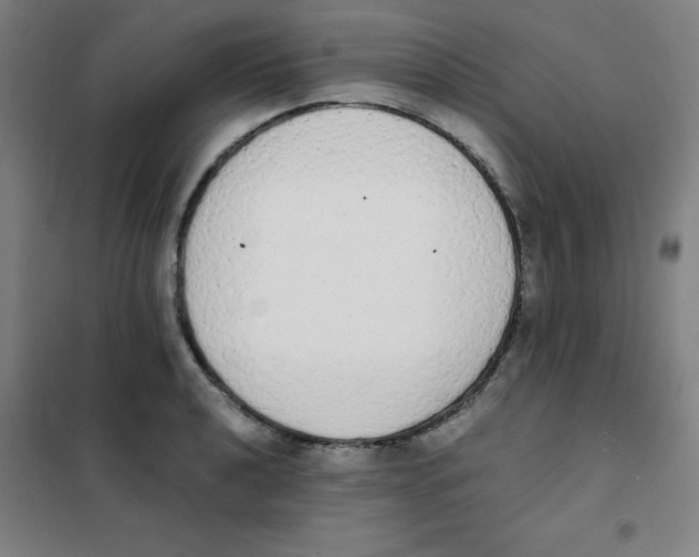 X0000101391040200808041012