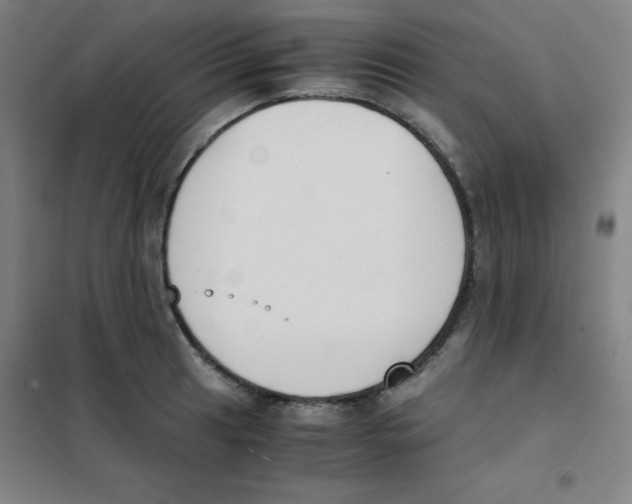 X0000101391041200808041012