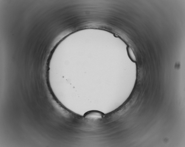 X0000101391042200808041012