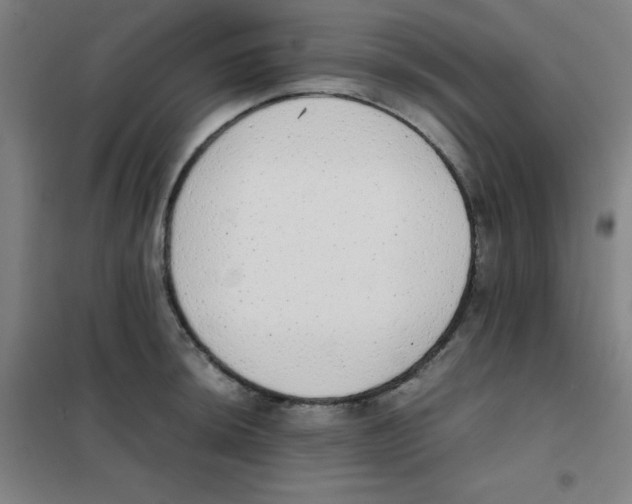 X0000101391044200808041012
