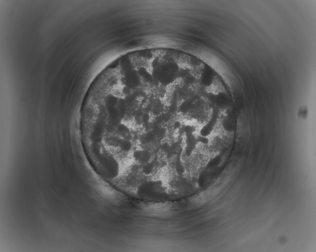 X0000101391047200808041012