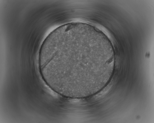 X0000101391048200808041012