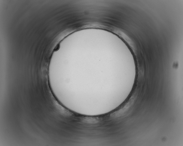 X0000101391049200808041012